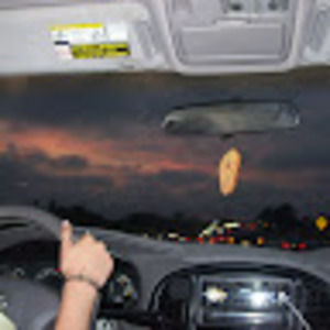 Meet your Posher, Molly